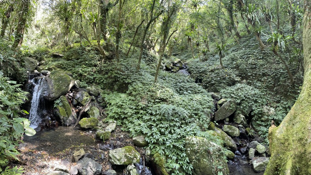 聖母登山步道（抹茶山）_2458327