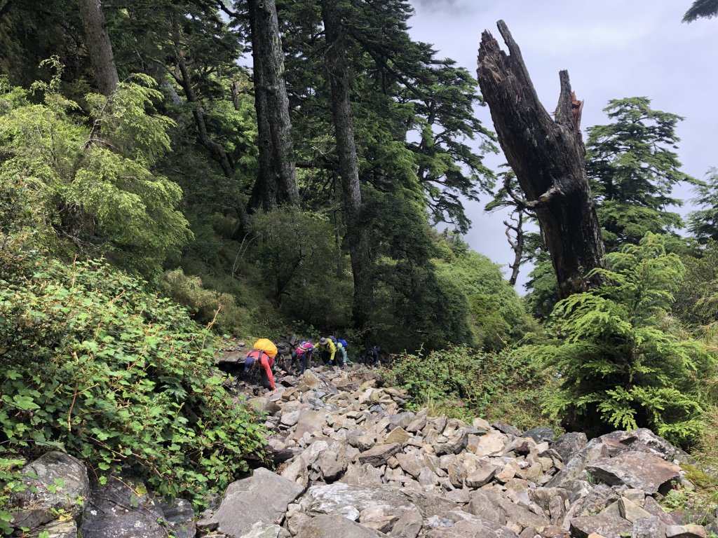 玉山前峰 - 山是家的延伸_628457