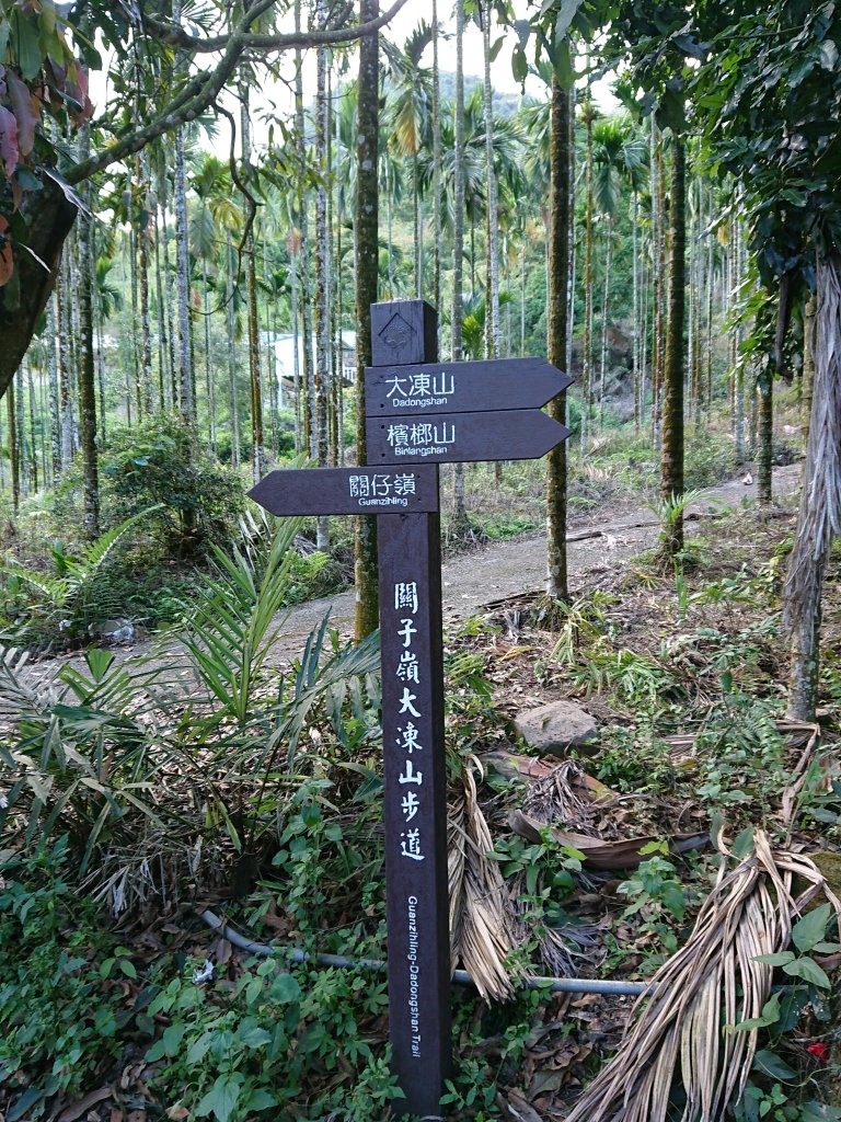 關子嶺大凍山封面圖