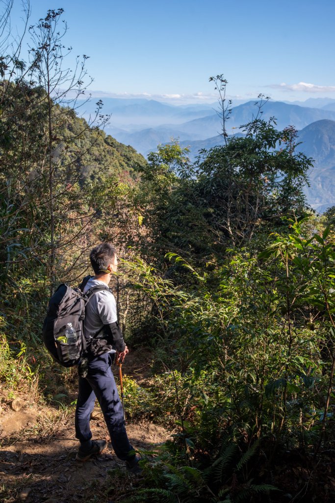 溪頭-烏土堀林道上金柑樹山_2010581