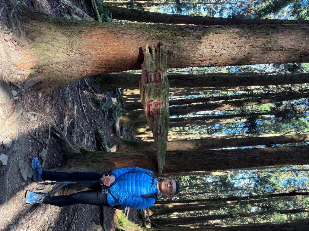 1141122特富野古道_2945856