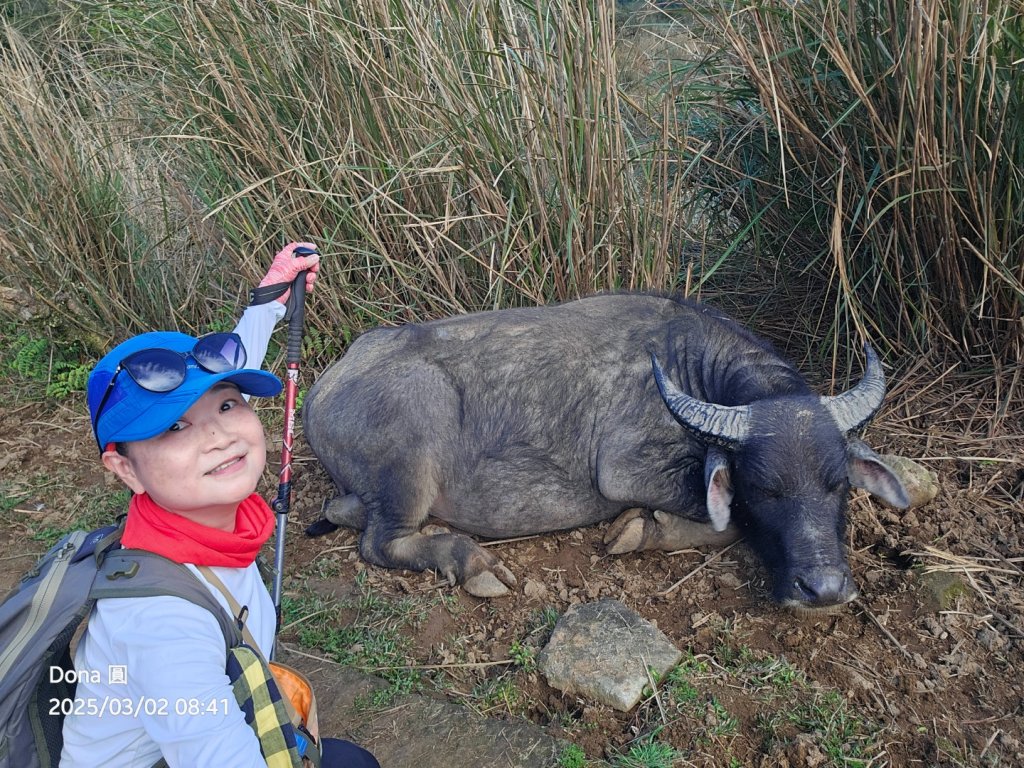 悠遊陽明山(東進東出陪復健封面圖