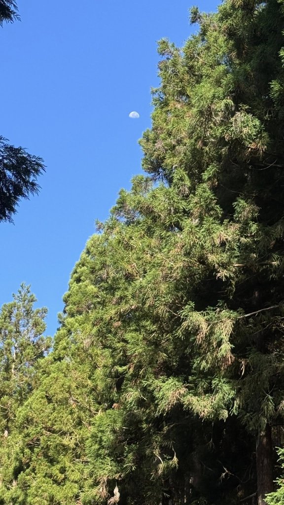 20250913小百岳三星山_2885214