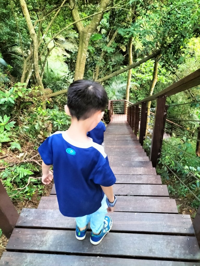 藤坪步道_2249016