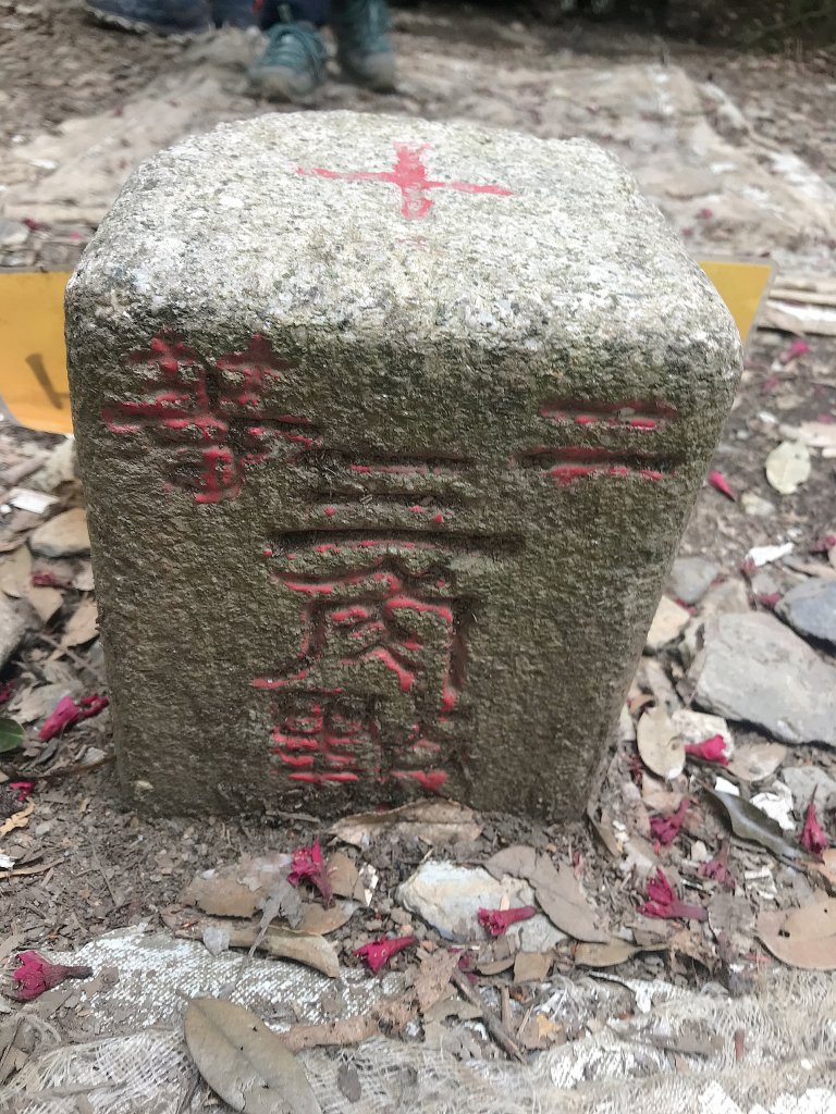 ~  水社大山登山步道  ~_1635759