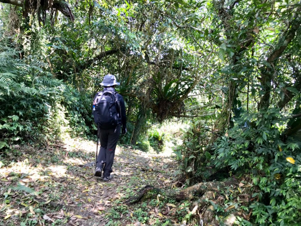 大南澳越嶺古道_553579