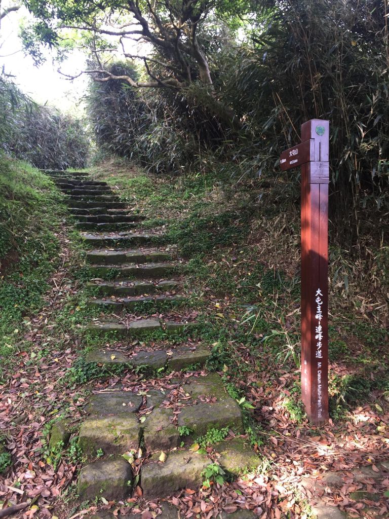 20180421_大屯主峰-連峰步道_316460