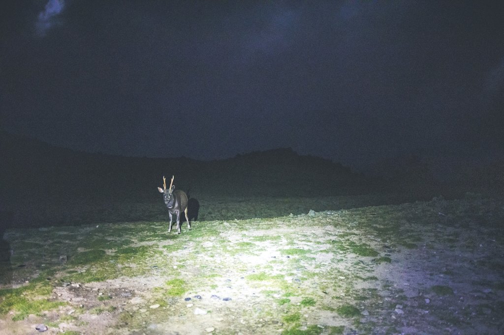 20220806~12-中央山脈南二段縱走D5_2447147