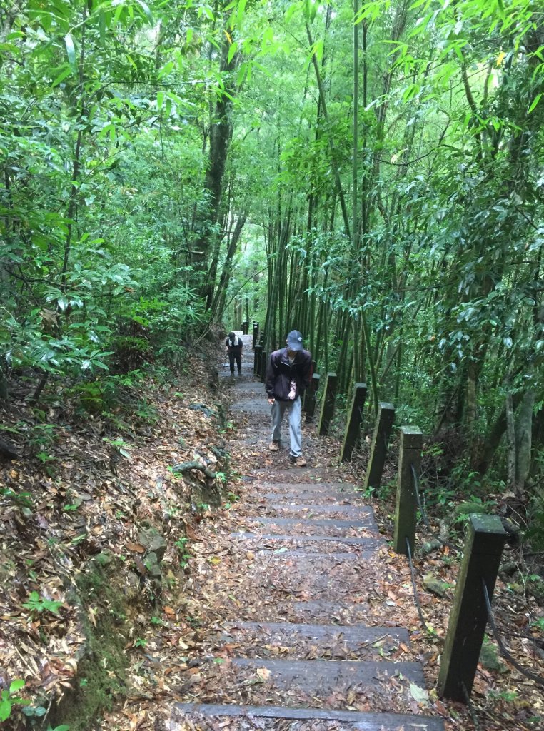 20211113嘉義石壁山-好望角-嘉南雲峰_1517181