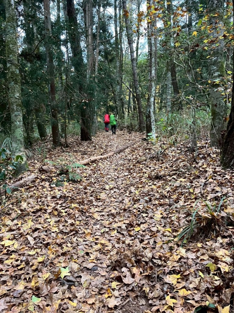 逆走雪劍💙淒風苦雨賞雪❄️+🎂⛰️旅_2967649