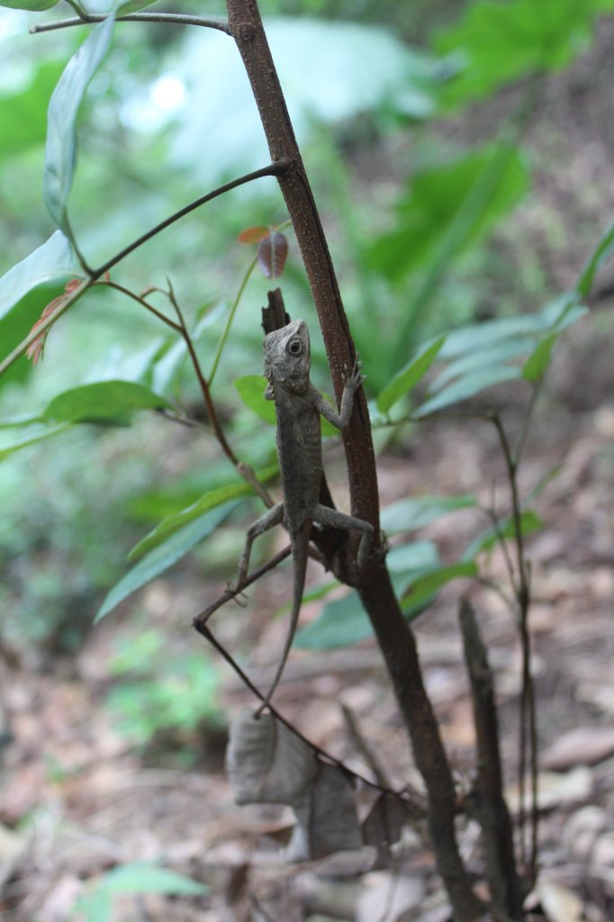 20210904屏東力里山_1453863