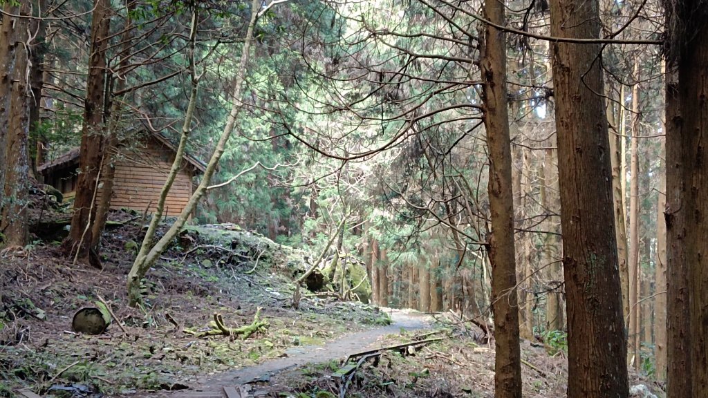 探加里山路徑封面圖