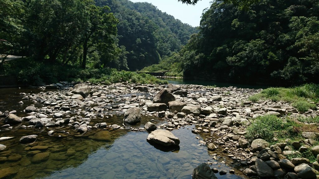 烏山，灣潭，北勢溪歩道107.8.11_454857