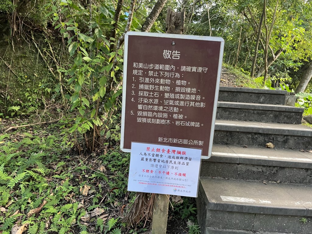 [微笑山線_第六段] 2025_0807 二格山系_和美山螢火蟲段_2854628