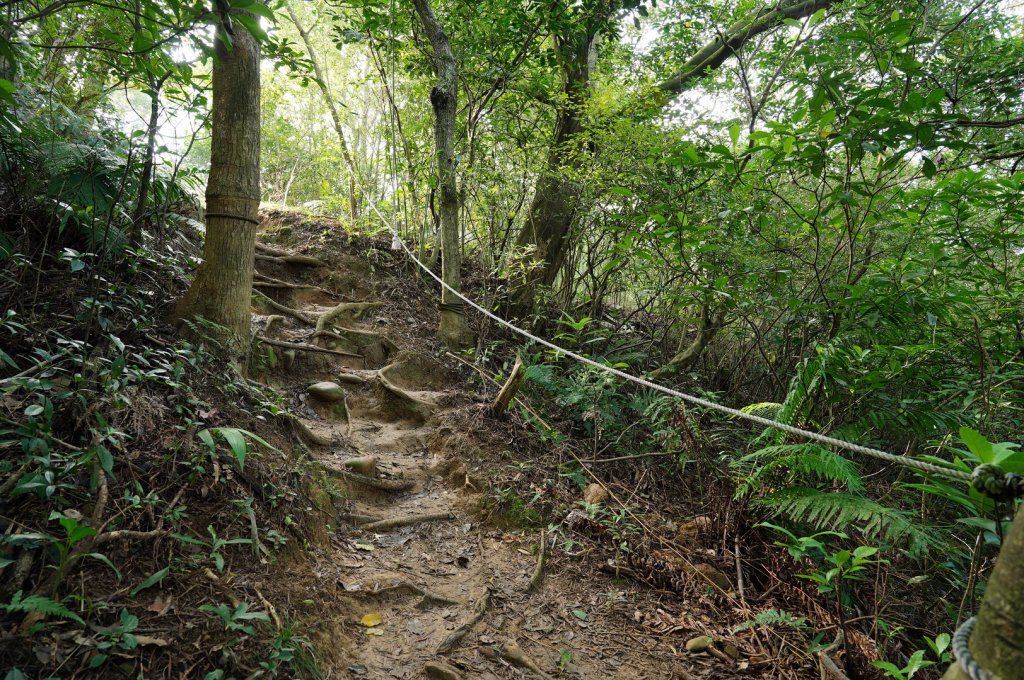 桃園 蘆竹 南崁山、五酒桶山_2396305