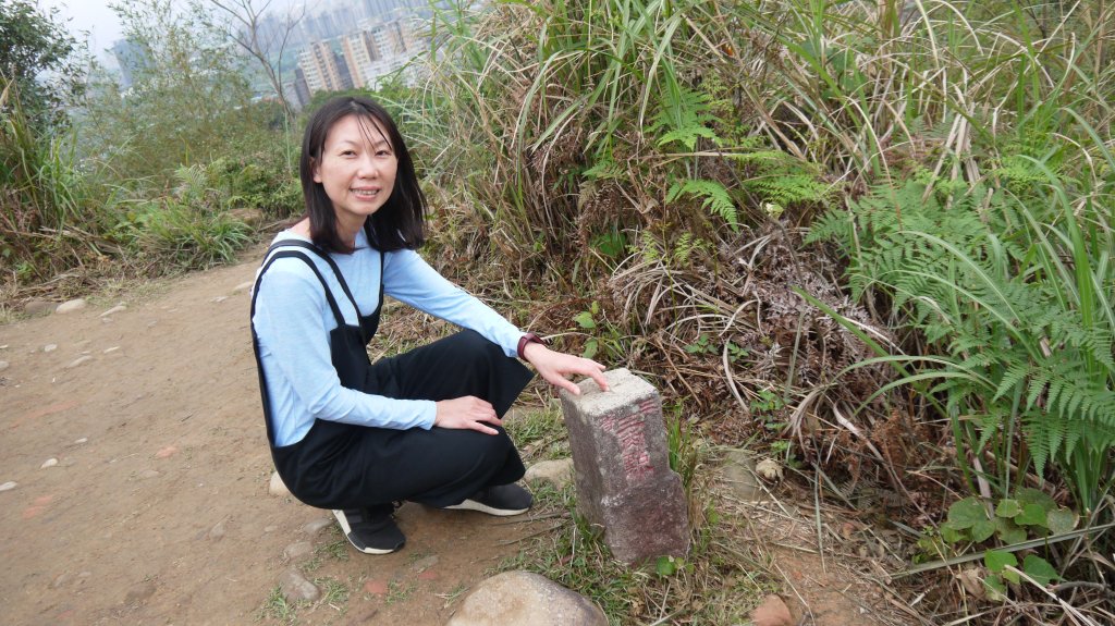 和美山登山健行趣（郊山）_1587739