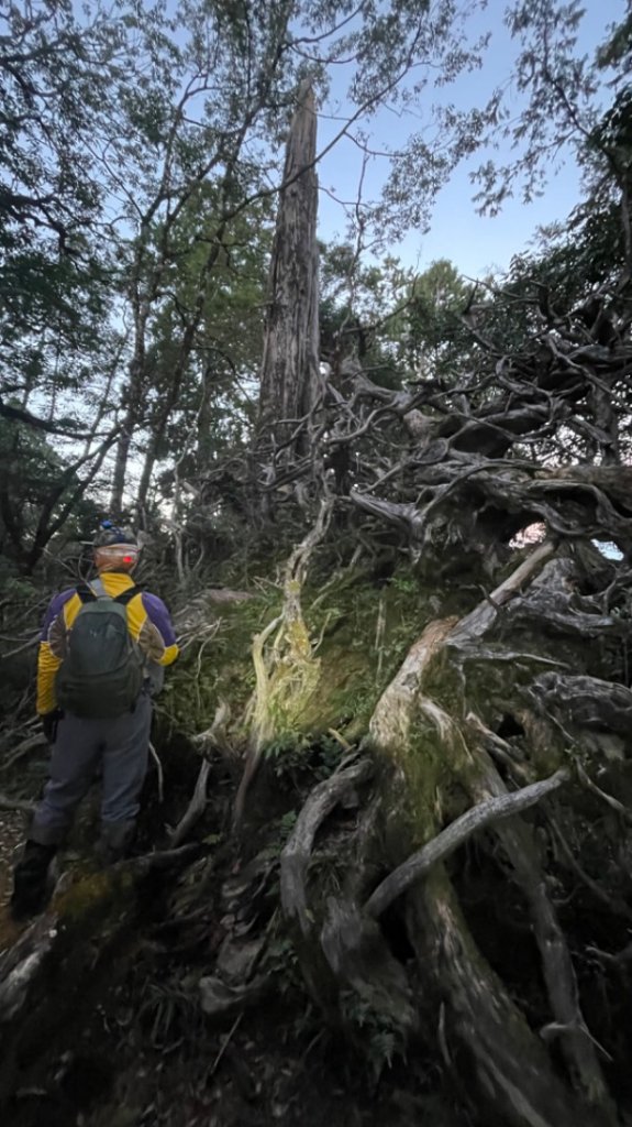 塔魔巴2天1夜來回_2357191