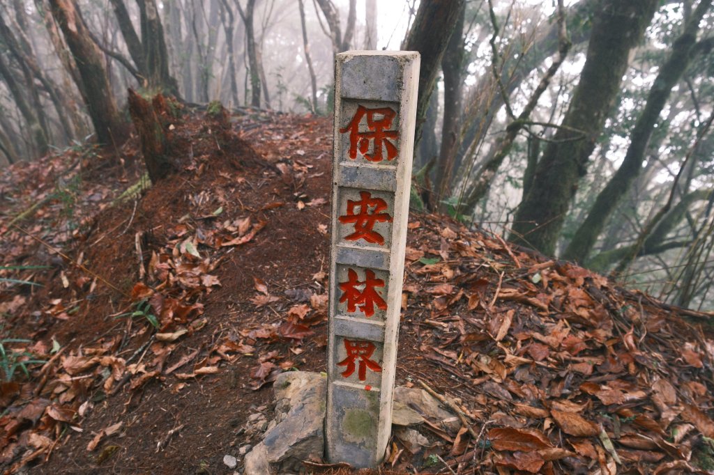 【年輕人爬山趣】大混山縱走李崠山封面圖