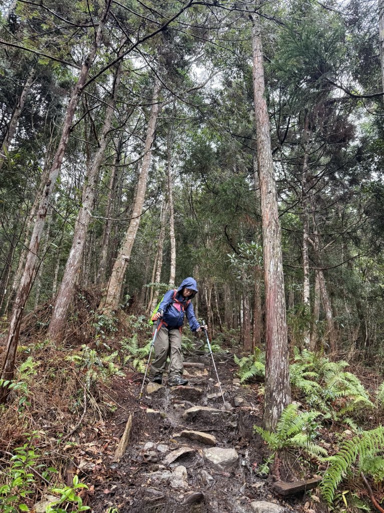 回程下雨的 松鶴上 八仙山 20251025_2925758