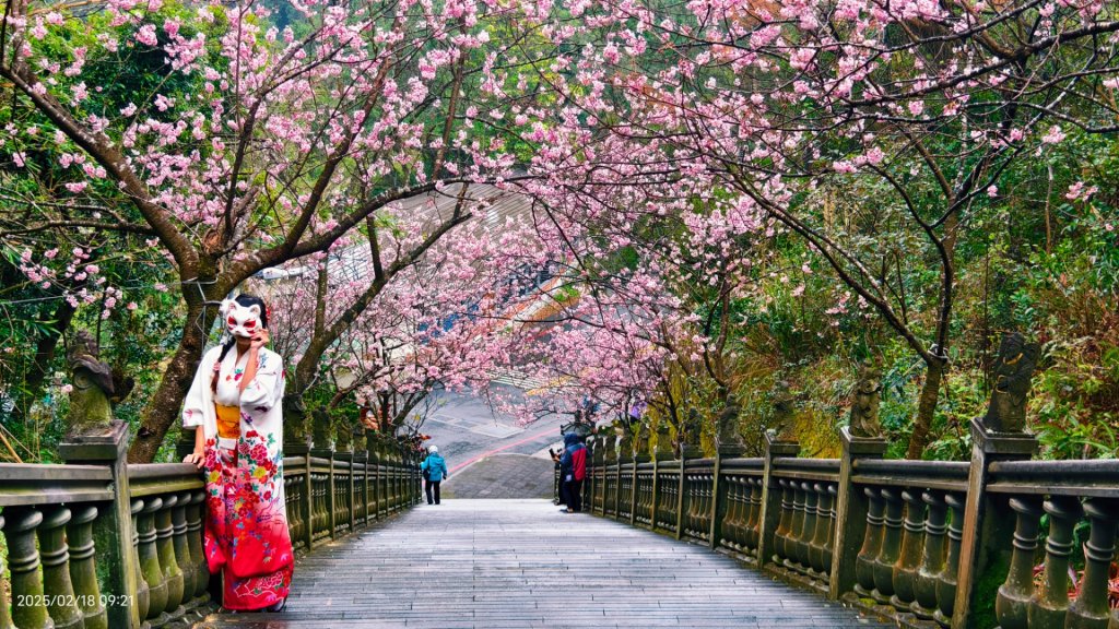 內湖碧山巖 2/18_2714829