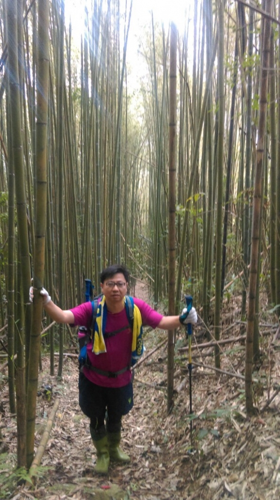 20151101五峰鄉鬼澤山,谷燕瀑布_27812