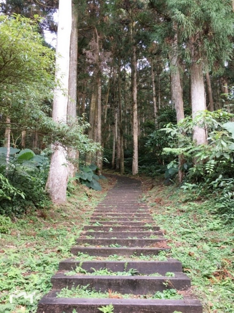 自得其樂山友群：志繼山、東眼山、親子峰_466185