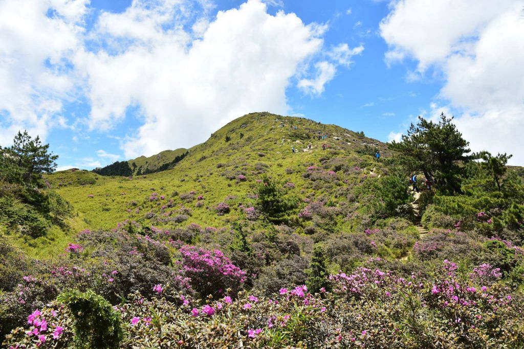 合歡山北峰_340815