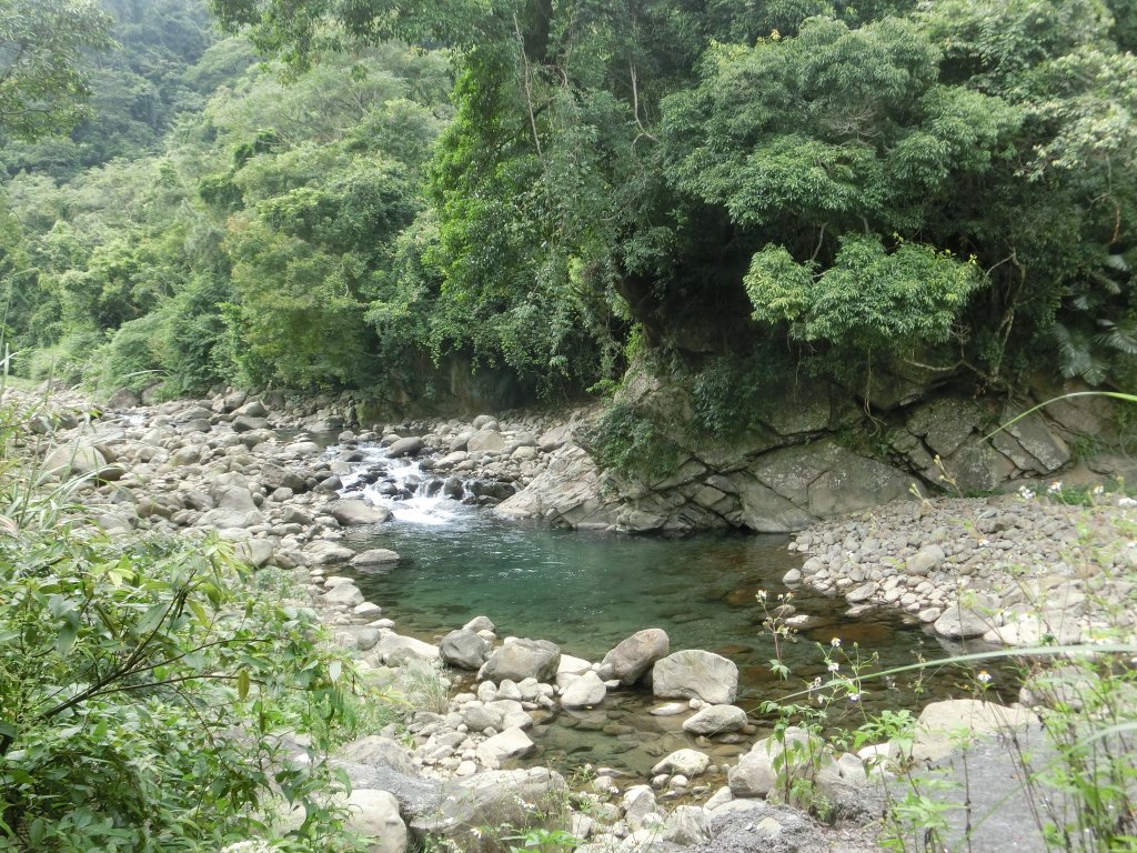 仙山．蓬萊溪護魚步道封面圖