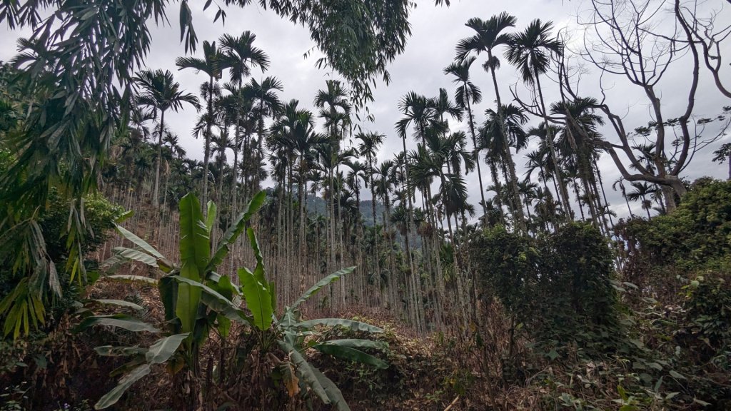 明潭四秀 後尖山封面圖