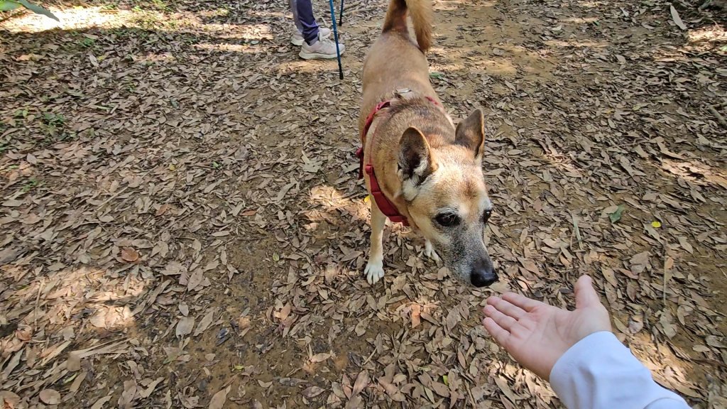 20251215林口森林步道+太平嶺海濱步道_2969355