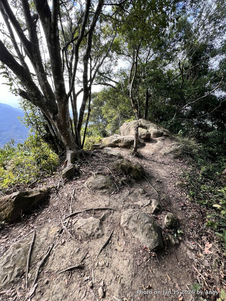 【新竹＋苗栗】猿獅縱走_2989087