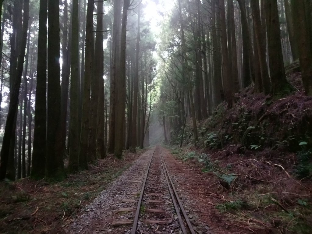 森林鐵道_543432