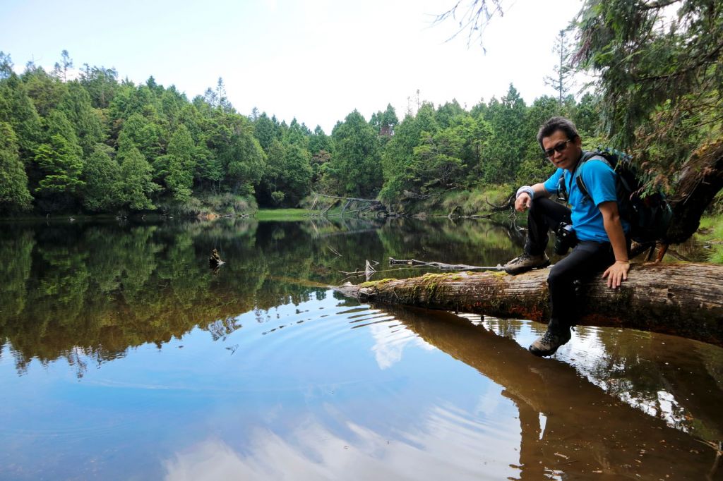 水青岡換新裝~探索太平山的原始森林_349113