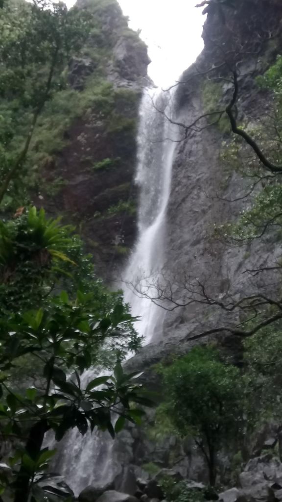 陽明山國家公園最大的瀑布「阿里磅瀑布」_406710