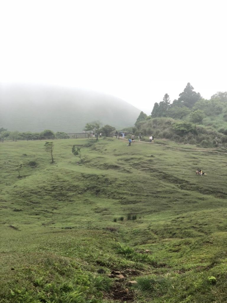 坪頂古圳親山步道_321501