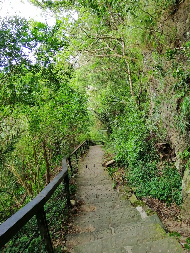 山風徐徐涼如秋。 編號29小百岳~獅頭山_743916