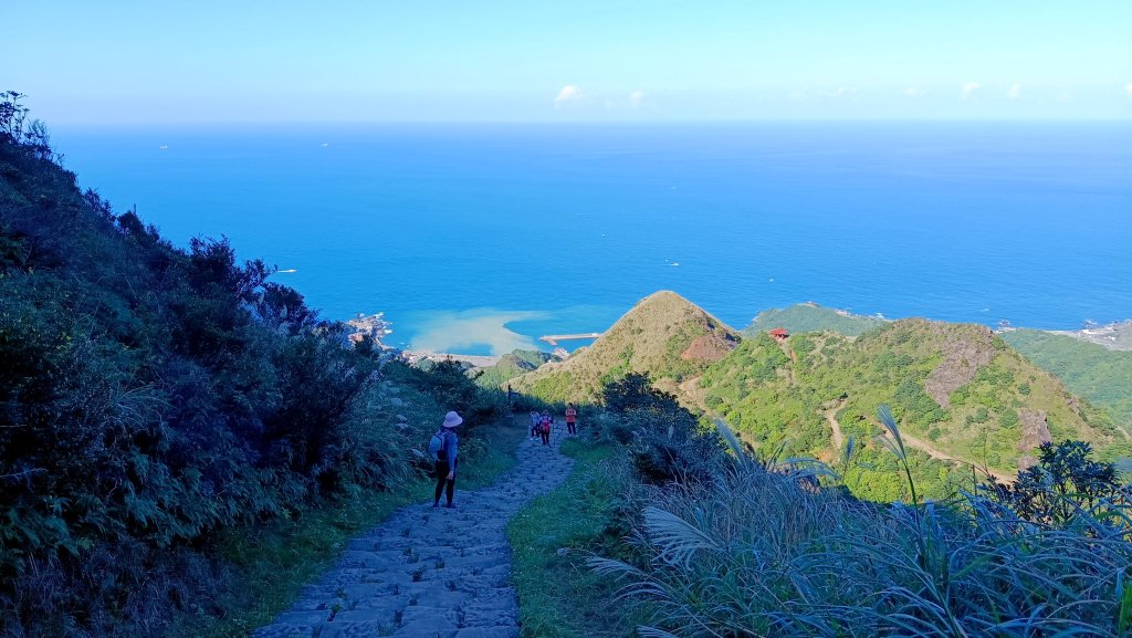 找一個晴天去爬山~金瓜石芒花之旅_2962462
