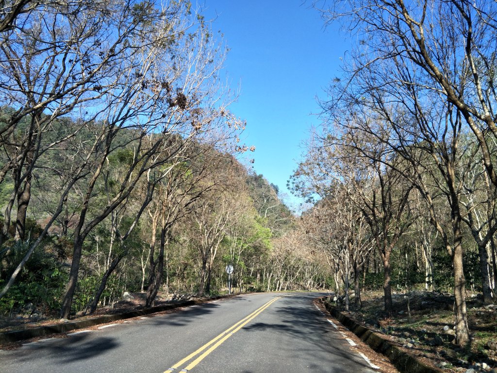 惠蓀林場_1281434