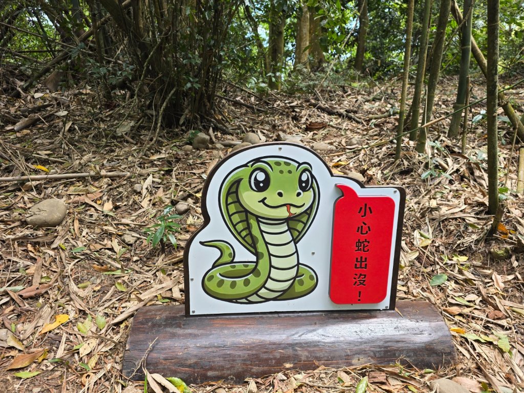 台中大坑頭嵙山區1號／5-1號5號步道黑松亭順訪二嵙山_2748346