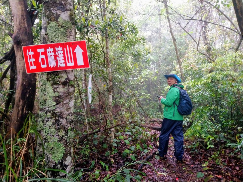 屯野生台山、石麻達山_918006