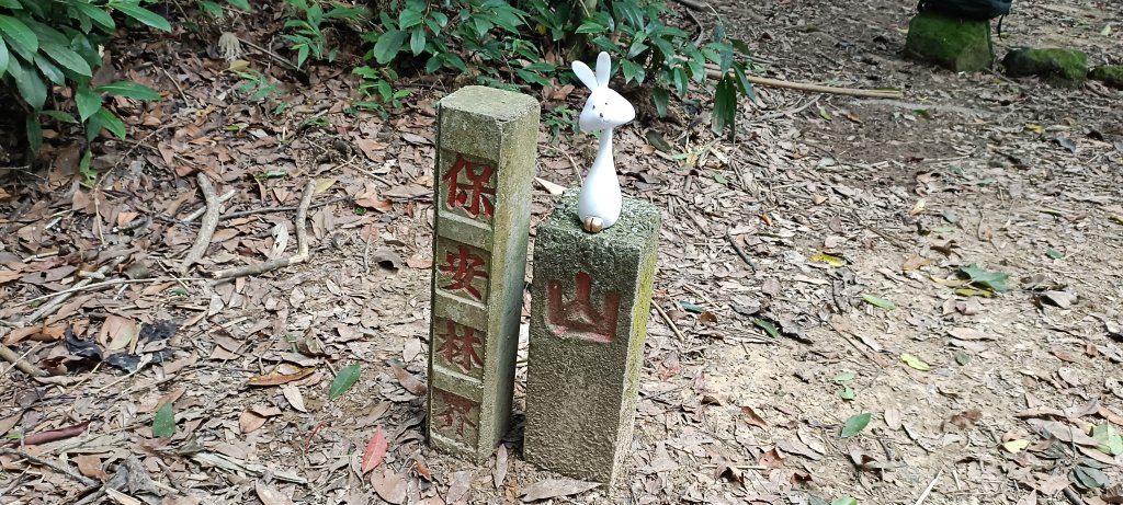 2024/06/30-大克山砲台古道_2539727