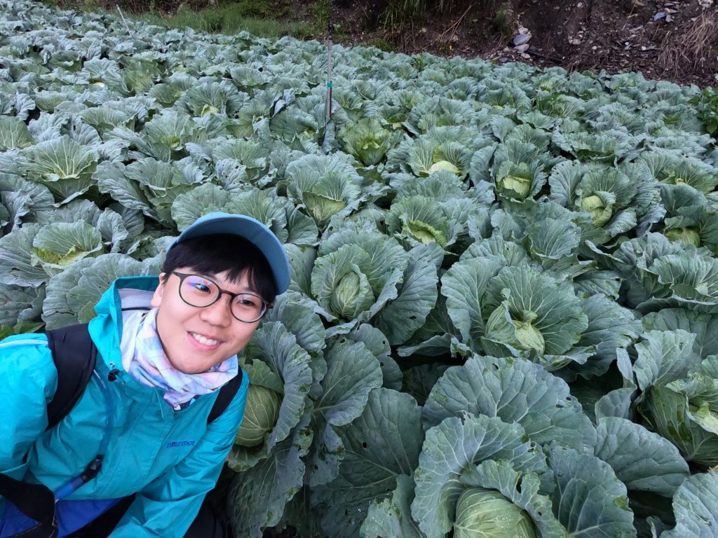 湍湍溪流志佳陽大山_656544