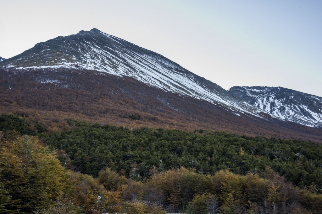 阿根廷火地島馬蒂爾冰河_53910