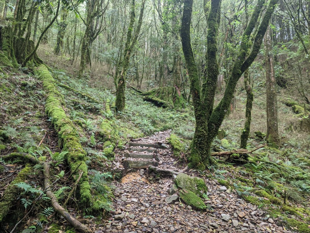 谷關七雄：八仙山_1744128
