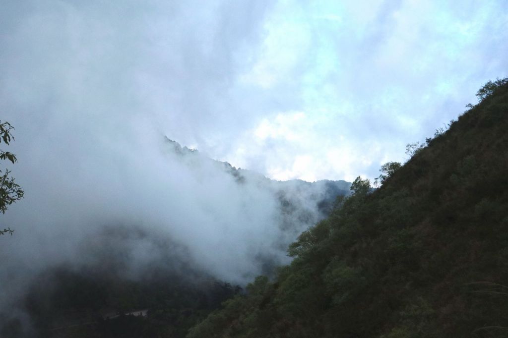 玉山群峰~淒風霧雨砥礪山行_119476