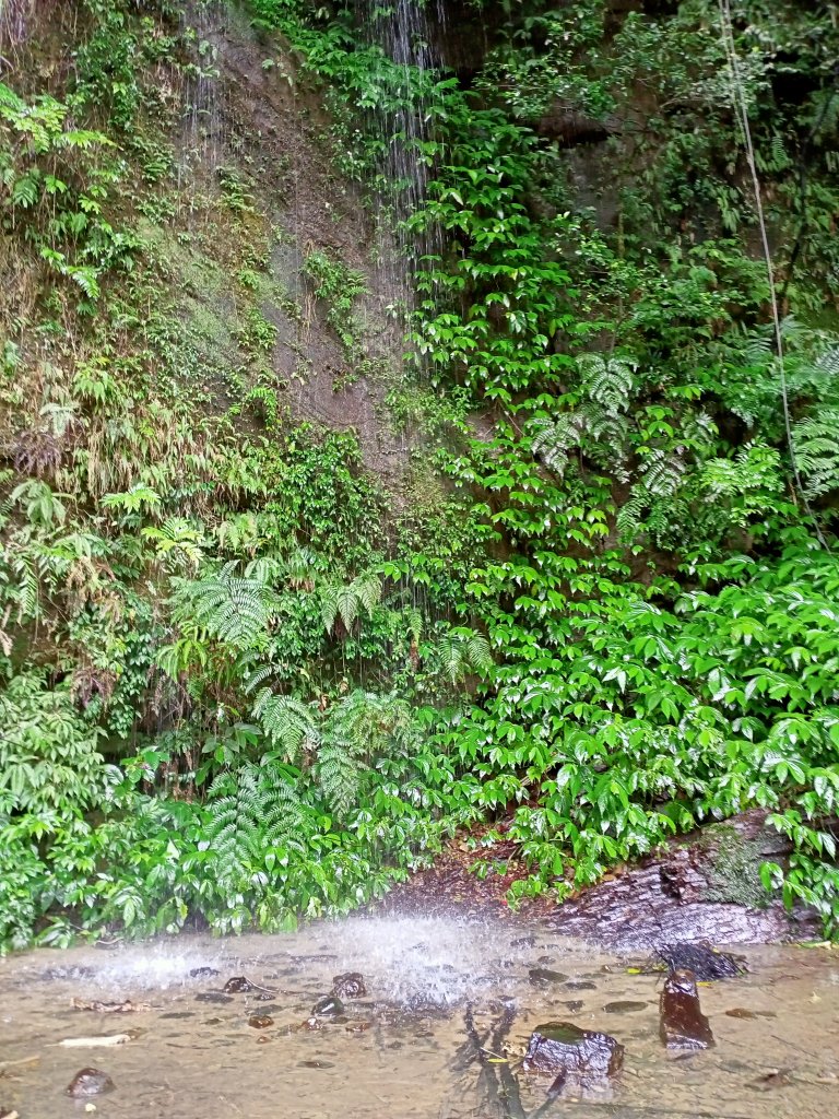 《銀河洞越嶺步道玩泥巴》_1220820