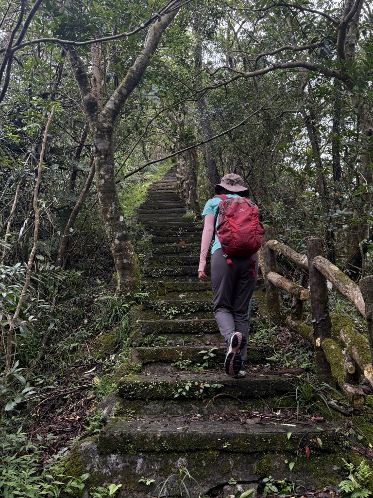 二格山 2025.07.20_2864215