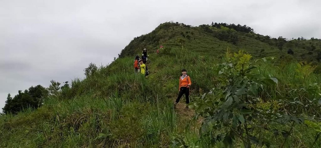 鵲子山步道 小百岳_1304417