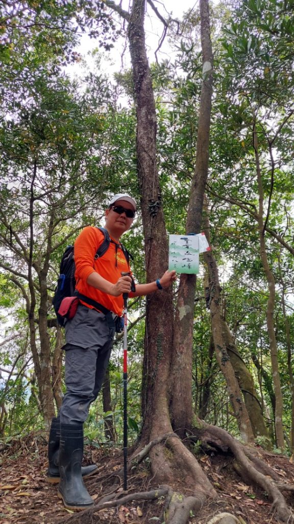 桃園復興金牌縱走_2763275