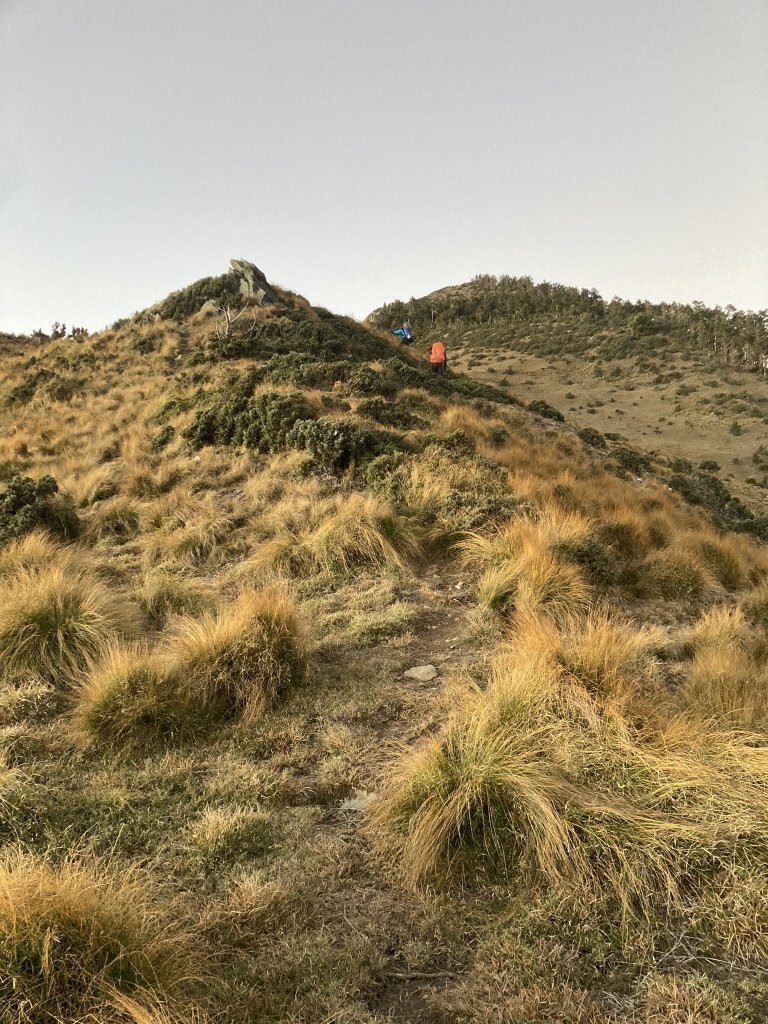 2022.12.15_20干卓萬橫斷_2012499